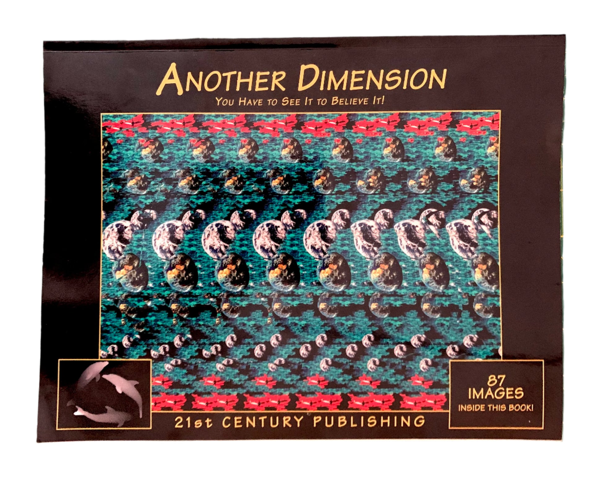 Cover of the book 'Another Dimension' by 21st Century Publishing featuring a 3-D illusion picture with birds in flight.
Photo by Karen King [image_link]
