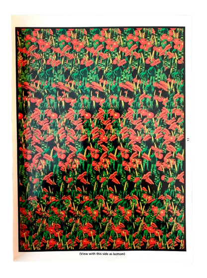 a 3-D illusion picture 
Photo by Karen King [additional_image_link]