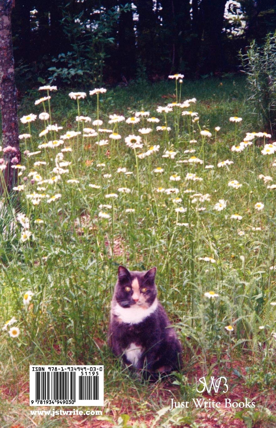 Cat sitting in a field of flowers with a blurred background
Photo by Karen King [additional_image_link]
