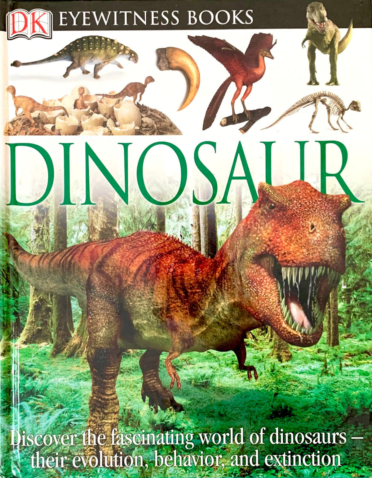 front cover book Dinosaur DK eyewitness books
Photo by Karen King [image_link]
