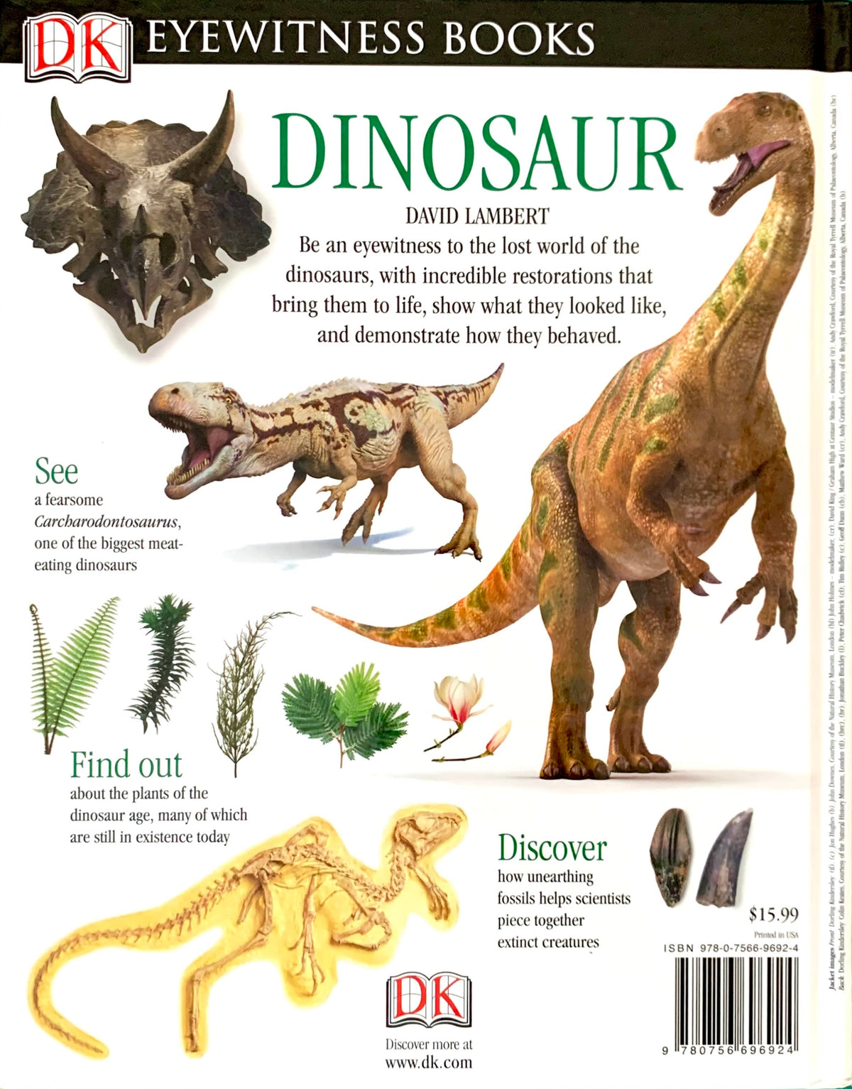 back cover book Dinosaur DK eyewitness book
Photo by Karen King [additional_image_link]