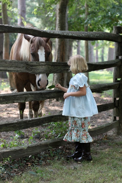 A young girl in a light blue dress and floral skirt stands behind a rustic wooden fence, reaching out to feed a brown horse in a wooded outdoor setting.
Photo by Olabelhe [additional_image_link]