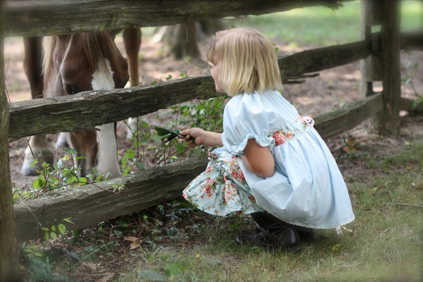 A young girl with blonde hair crouches behind a rustic wooden fence, holding a small green leafy plant to offer to a brown and white horse. She is wearing a light blue dress with a floral patterned skirt.
Photo by Olabelhe [additional_image_link]