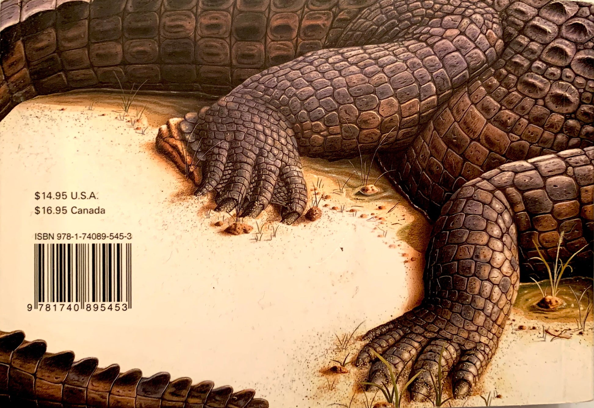 back cover book with Alligator
Photo by Karen King [additional_image_link]