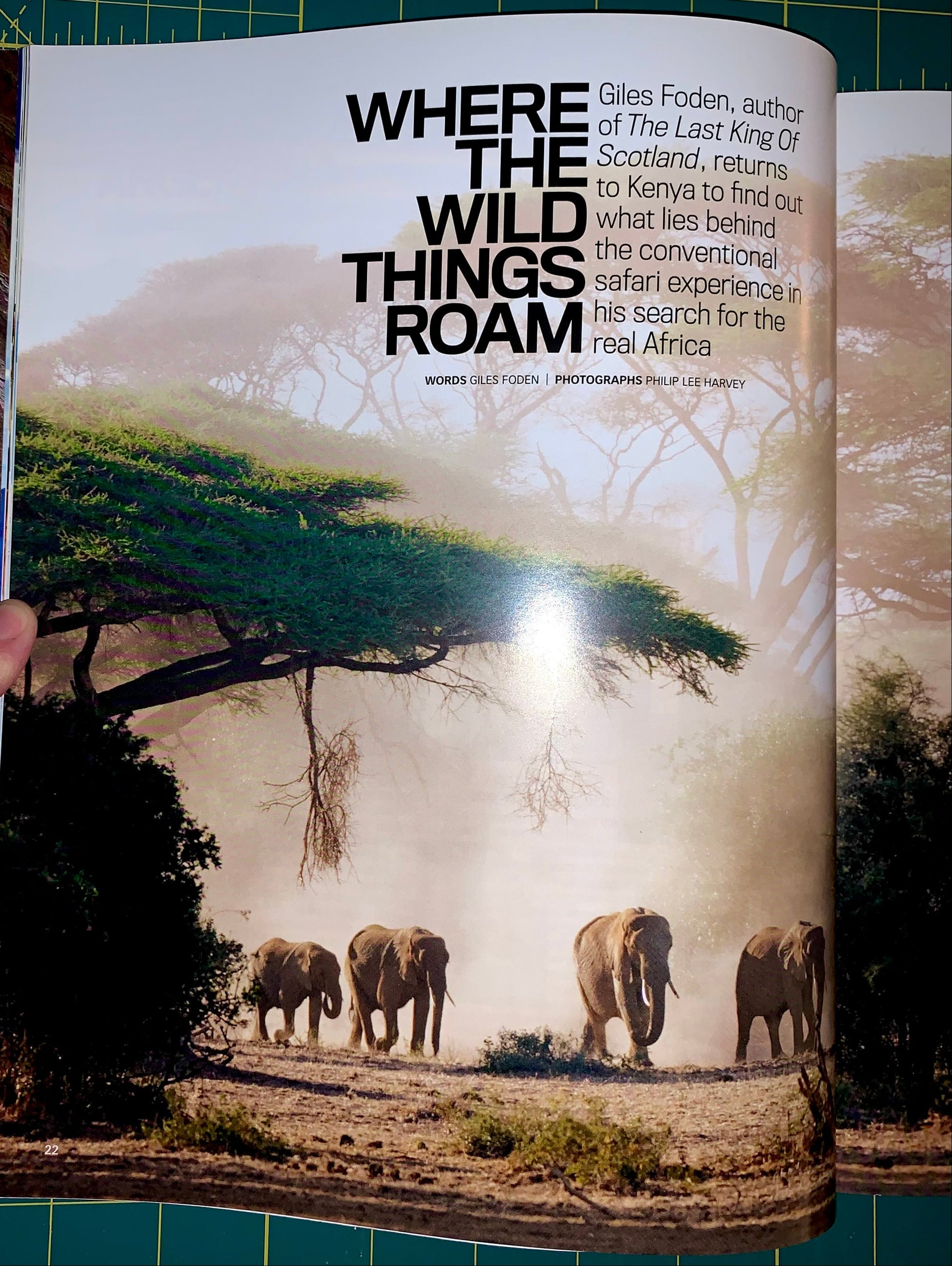 A printed magazine or book page featuring a safari photograph with elephants walking under acacia trees and large headline text reading 'WHERE THE WILD THINGS ROAM.' A hand is visible holding the page at the left edge.
[additional_image_link]