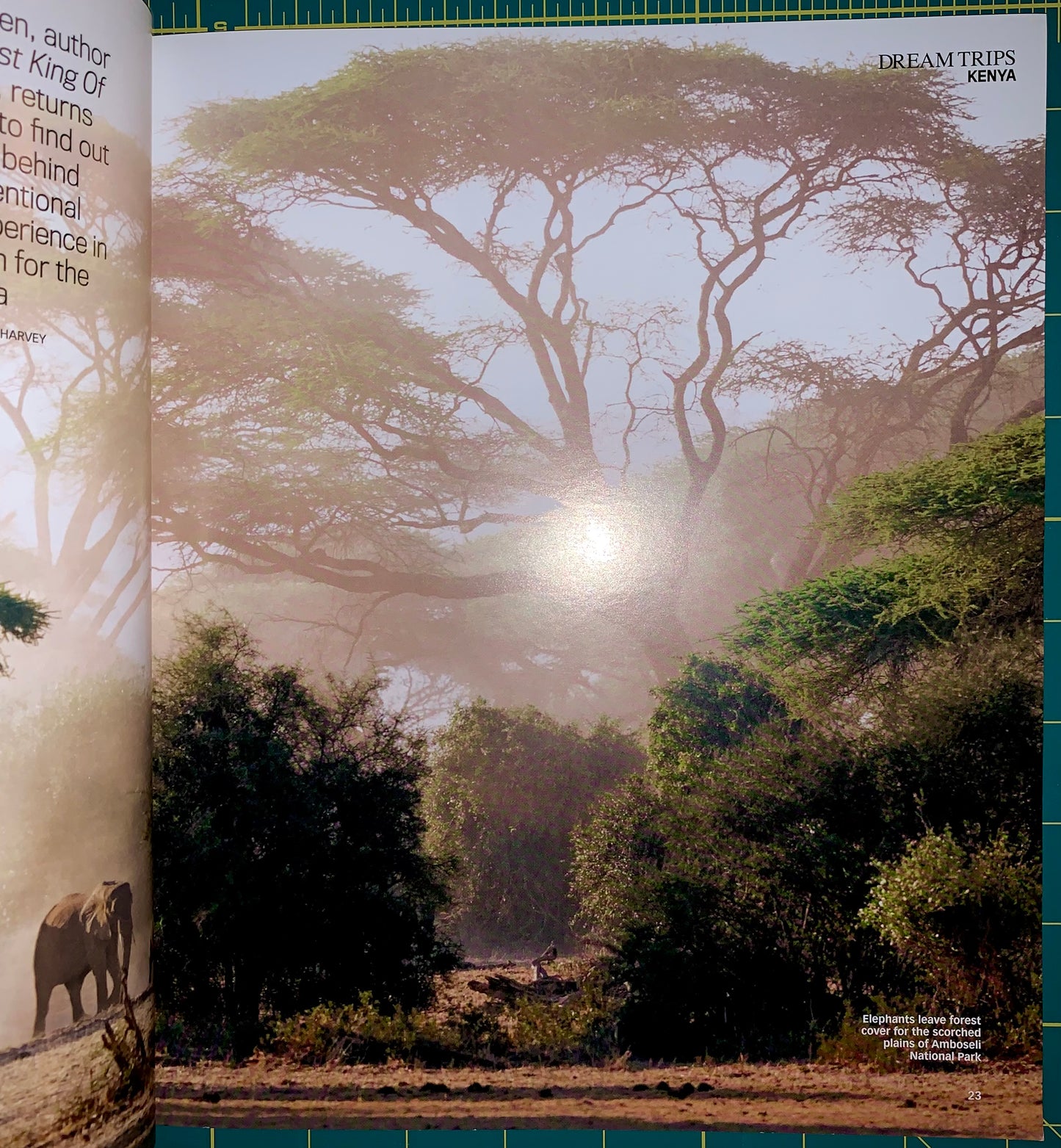 An open book or magazine spread showing a safari landscape photograph with acacia trees, mist, and an elephant partially visible on the left page. The right page has the title 'DREAMTRIPS NEWS' at the top.
[additional_image_link]