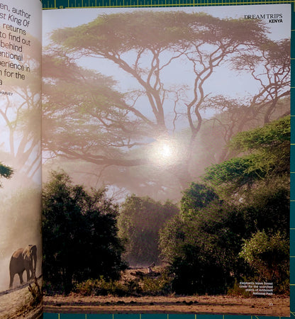 An open book or magazine spread showing a safari landscape photograph with acacia trees, mist, and an elephant partially visible on the left page. The right page has the title 'DREAMTRIPS NEWS' at the top.
[additional_image_link]