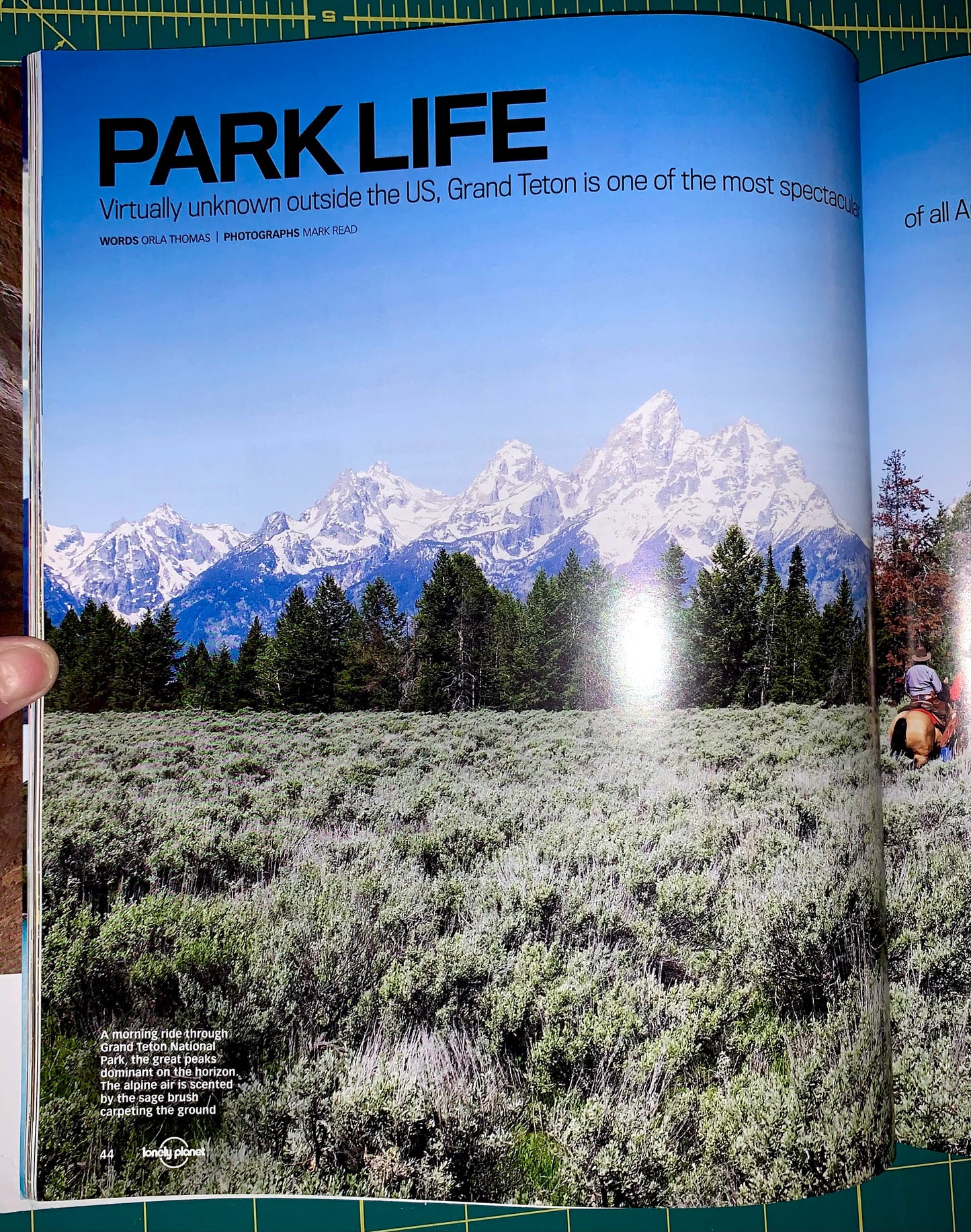 An open magazine or book spread showing a large landscape photograph of snow-capped mountains, evergreen trees, and a sagebrush field under a blue sky, with the headline 'PARK LIFE' at the top.
[additional_image_link]