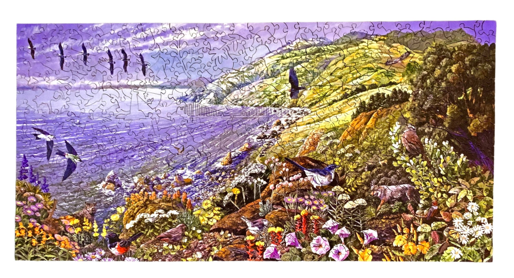 A completed jigsaw puzzle depicting a colorful coastal landscape with purple water, green hills, flying birds, and wildflowers in the foreground.
Photo by Karen King [additional_image_link]