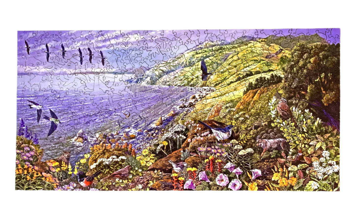 A completed jigsaw puzzle depicting a colorful coastal landscape with purple water, green hills, flying birds, and wildflowers in the foreground.
Photo by Karen King [additional_image_link]
