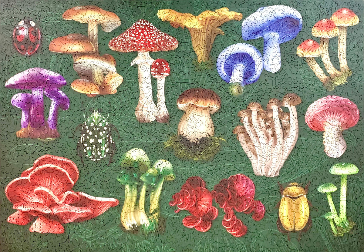A square patchwork-style artwork featuring many colorful mushrooms and small insects on a textured green background.
Photo by Karen King [additional_image_link]