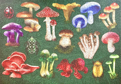 A square patchwork-style artwork featuring many colorful mushrooms and small insects on a textured green background.
Photo by Karen King [additional_image_link]