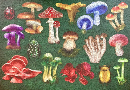 A square jigsaw puzzle featuring a colorful assortment of various illustrated mushrooms on a dark green textured background.
Photo by Karen King [additional_image_link]