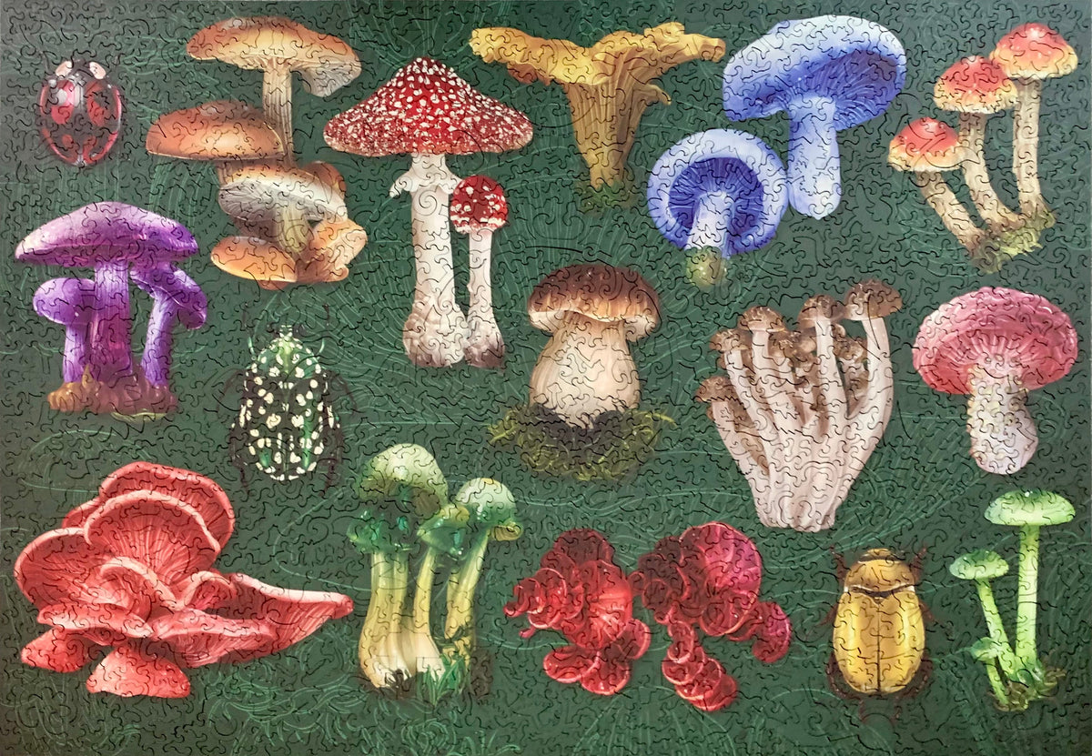 A square jigsaw puzzle featuring a colorful collection of various illustrated mushrooms on a dark green textured background.
Photo by Karen King [additional_image_link]