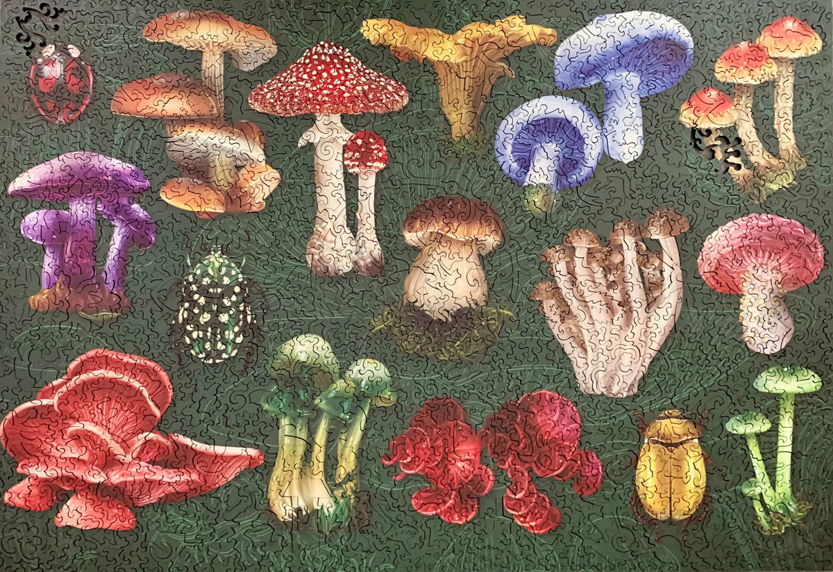 A completed jigsaw puzzle featuring a colorful assortment of illustrated mushrooms on a dark green background.
Photo by Karen King [additional_image_link]