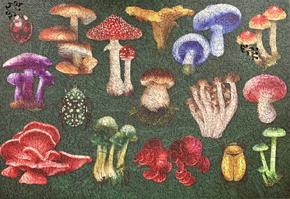 A completed jigsaw puzzle featuring a colorful assortment of illustrated mushrooms on a dark green background.
Photo by Karen King [additional_image_link]