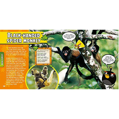 A children's educational book page titled 'Black-Handed Spider Monkey' showing a large photo of spider monkeys hanging from branches, a text panel, a small inset photo, and cartoon Angry Birds characters with speech bubbles on a white page background.
[additional_image_link]