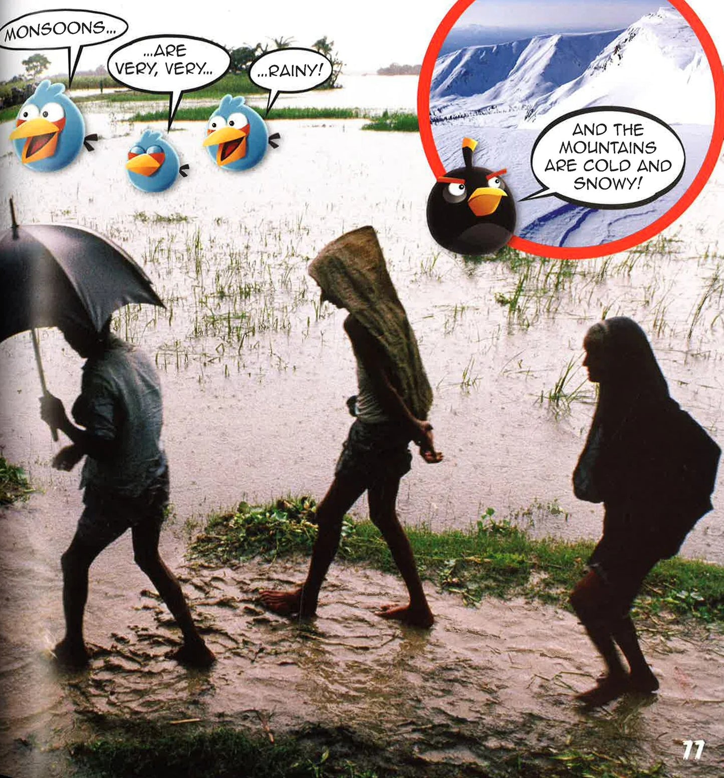 A collage-style photo with three people walking through shallow floodwater in the rain, overlaid with Angry Birds cartoon graphics and speech bubbles. One bubble shows an icy mountain landscape, and another says 'MONSOONS.
[additional_image_link]