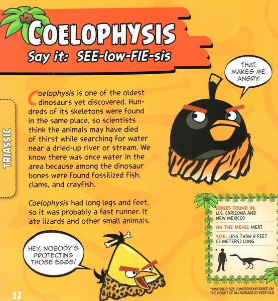 An educational poster titled 'COELOPHYSIS Say it: SEE-low-FIE-sis' with a cartoon Angry Bird style coelophysis dinosaur illustration on a yellow-orange background, plus text about dinosaur fossils and small diagrams.
[additional_image_link]