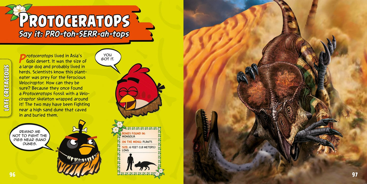 A two-page spread from a children's educational book about Protoceratops. The left page has a bright yellow background with the title 'Protoceratops' in large orange letters, a small Angry Birds parody illustration, and text explaining what the word means.
[additional_image_link]