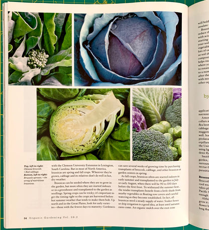 An open book spread showing a gardening article page with two large photographs of green and purple leafy vegetables, plus columns of text. The visible page header reads 'Organic Gardening Vol.
[additional_image_link]