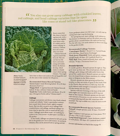 magazine page with photo of lettuce plant
[additional_image_link]