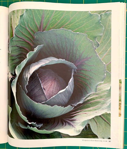An open book or magazine page showing a close-up botanical photograph of a cabbage or kale head, with white page margins and a green cutting mat visible around the edges.
[additional_image_link]