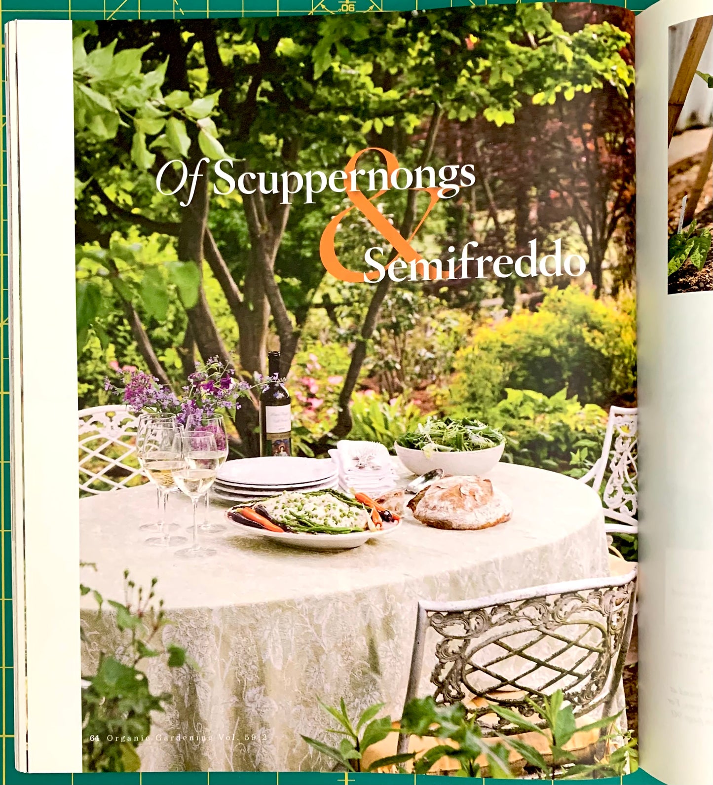 a garden party around a tablecloth covered table
[additional_image_link]