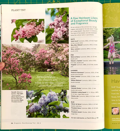 An open printed gardening book spread showing pages about lilacs, with photos of pink, purple, and white flowers, text columns, and a green grid pattern along the top edge. A hand is visible holding the left page.
[additional_image_link]