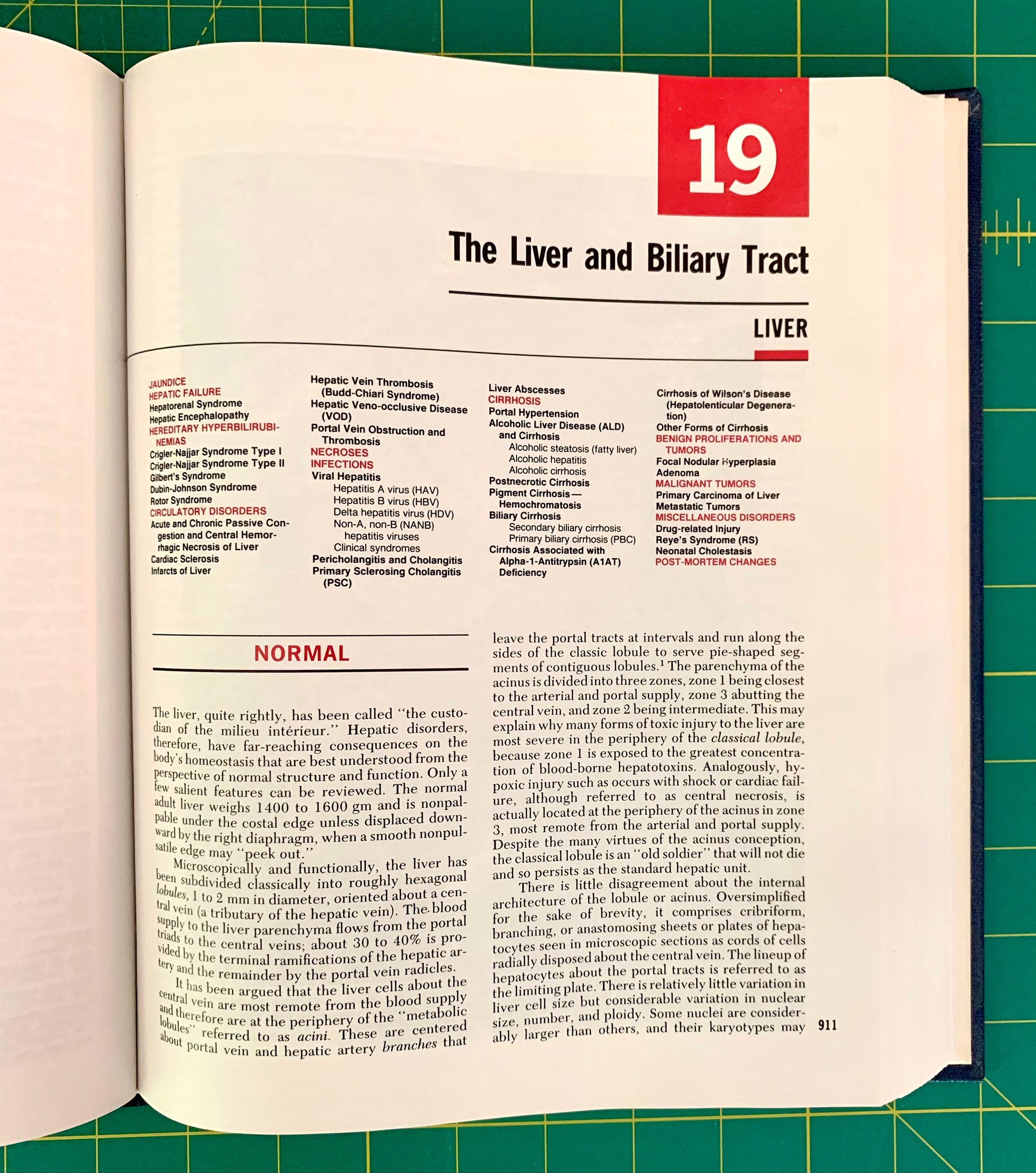 An open book showing a medical study page on 'The Liver and Biliary Tract', with a prominent red square containing the number '19' at the top right. The page contains text and tables detailing liver pathology, photographed on a green cutting mat.
[additional_image_link]