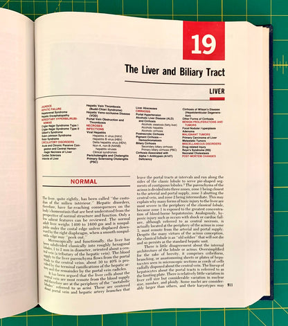 An open book showing a medical study page on 'The Liver and Biliary Tract', with a prominent red square containing the number '19' at the top right. The page contains text and tables detailing liver pathology, photographed on a green cutting mat.
[additional_image_link]