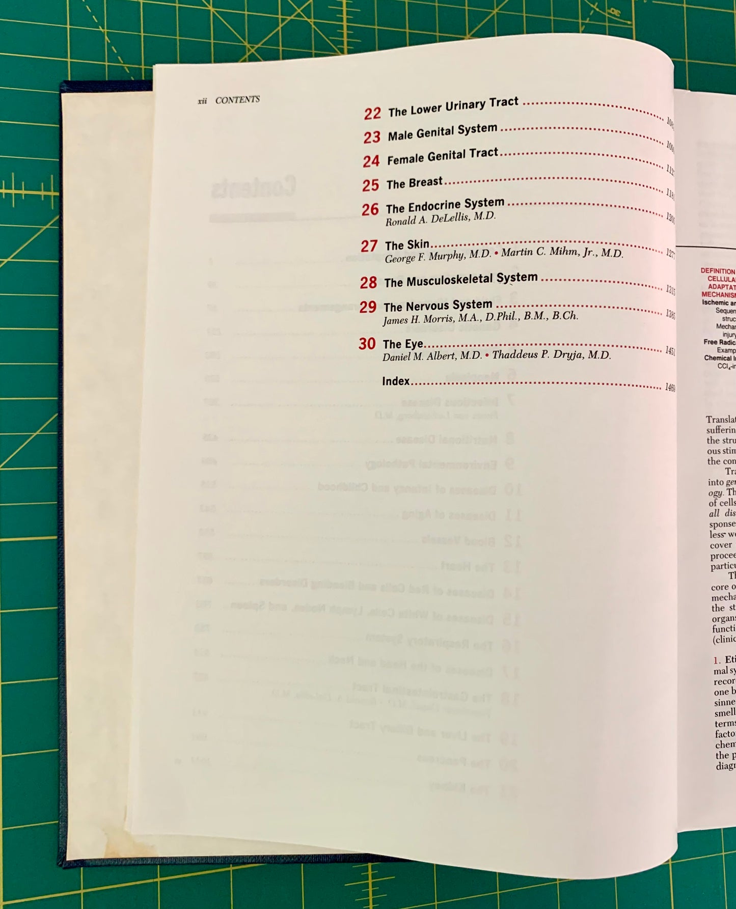An open book showing the contents page with chapter titles and page numbers, placed on a green cutting mat with grid lines.
[additional_image_link]