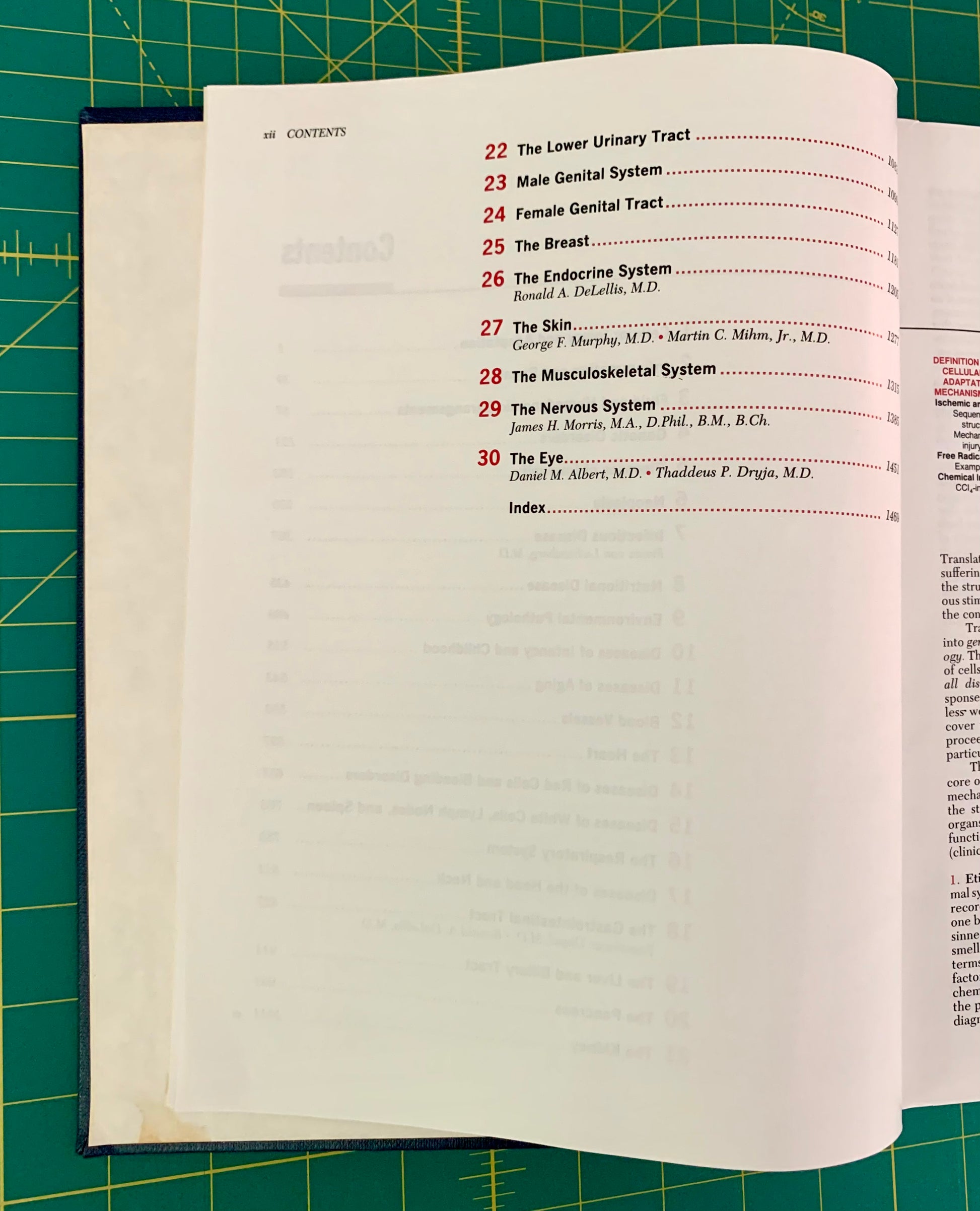 An open book showing the contents page with chapter titles and page numbers, placed on a green cutting mat with grid lines.
[additional_image_link]