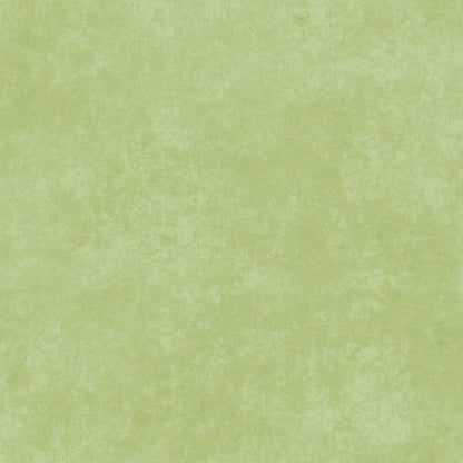 Solid light green color swatch.
Photo by MaywoodStudios.com [additional_image_link]