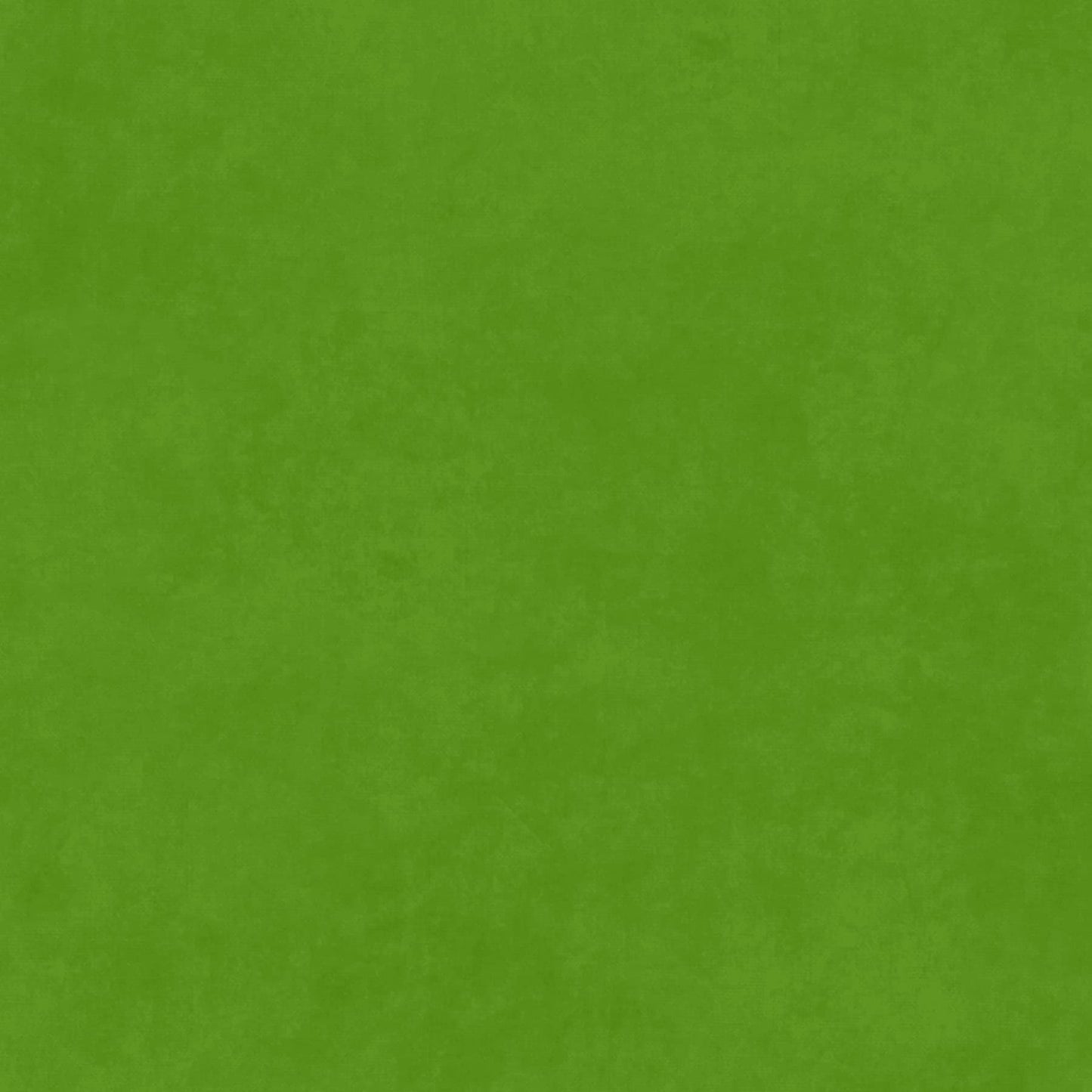 Solid green color swatch.
Photo by MaywoodStudios.com [additional_image_link]
