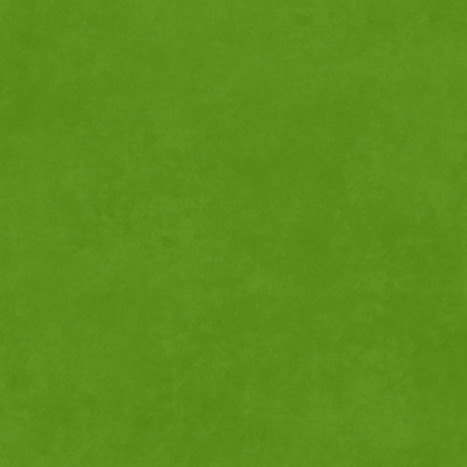 Solid green color swatch.
Photo by MaywoodStudios.com [additional_image_link]