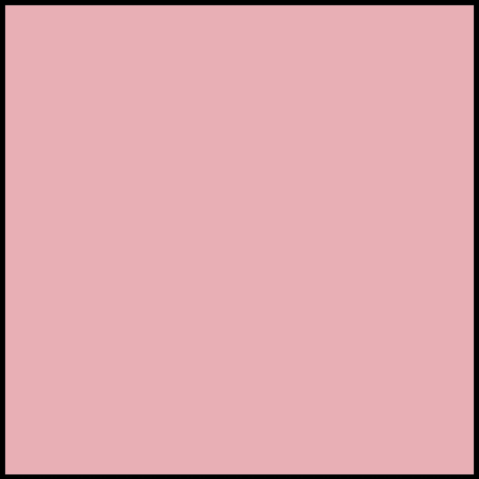 A solid pink square with a thin black border.
Photo by Tildafabrics.com [image_link]