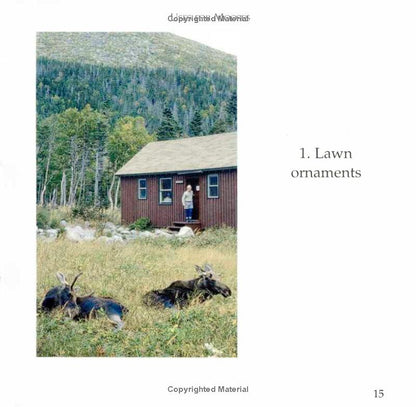 book page lawn ornaments photo of mooses
Photo by Down East Books [additional_image_link]