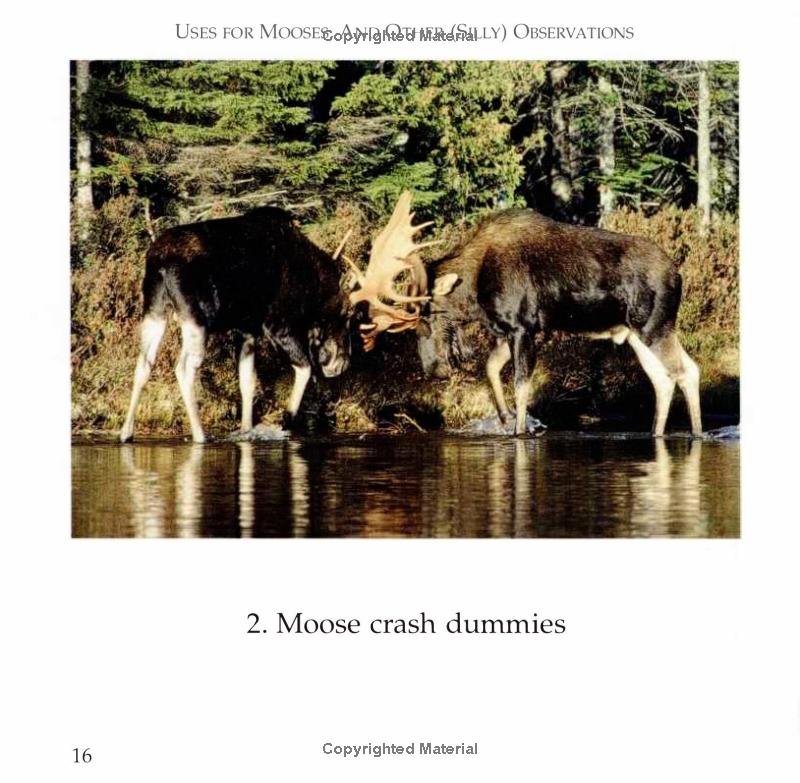 book page moose crash dummies photo of 2 mooses
Photo by Down East Books [additional_image_link]