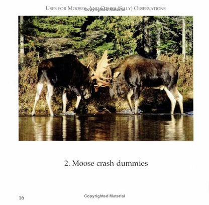 book page moose crash dummies photo of 2 mooses
Photo by Down East Books [additional_image_link]