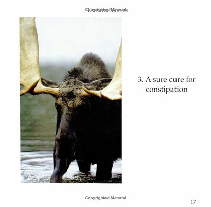 book page a sure cure for constipation photo of moose
Photo by Down East Books [additional_image_link]