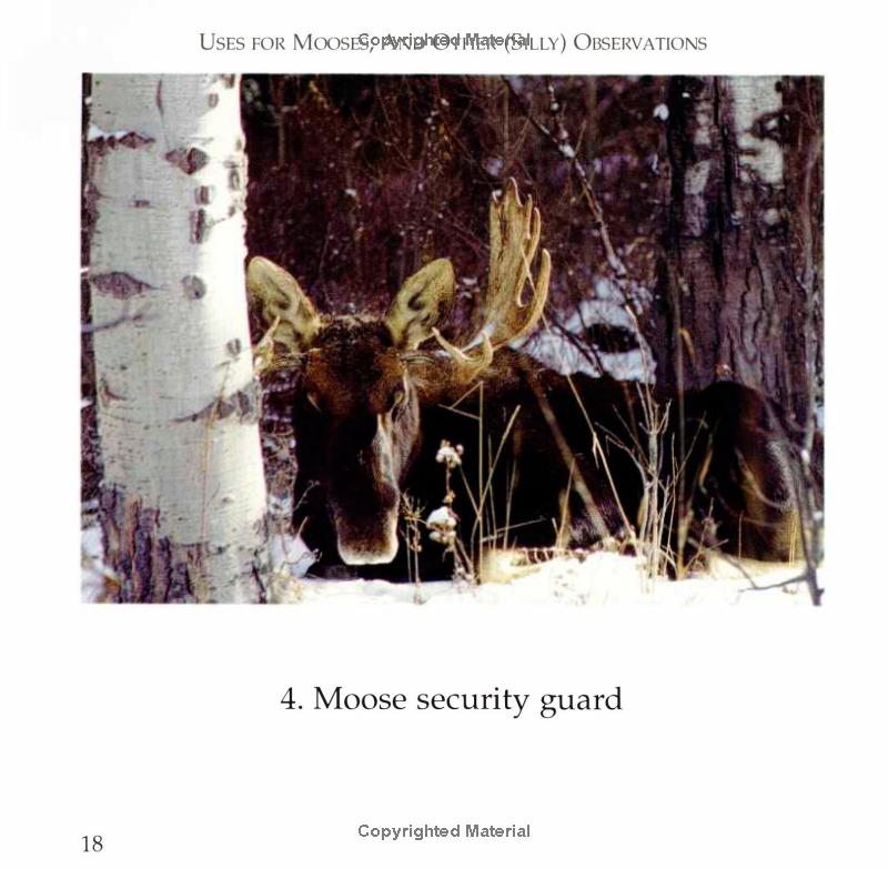 book page Moose Security guard photo of moose
Photo by Down East Books [additional_image_link]