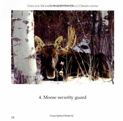 book page Moose Security guard photo of moose
Photo by Down East Books [additional_image_link]