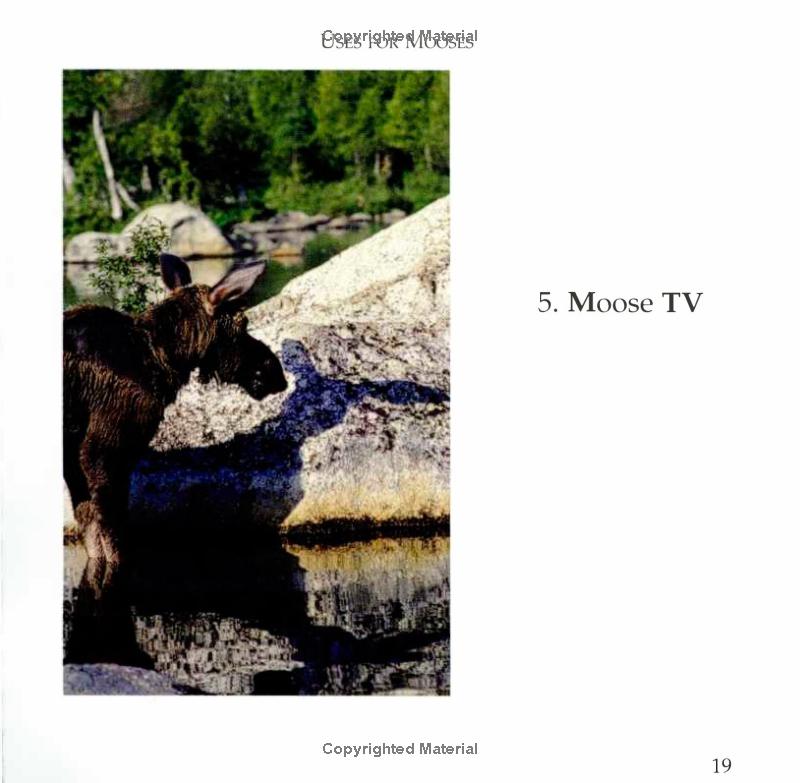 Moose TV book page photo of moose
Photo by Down East Books [additional_image_link]