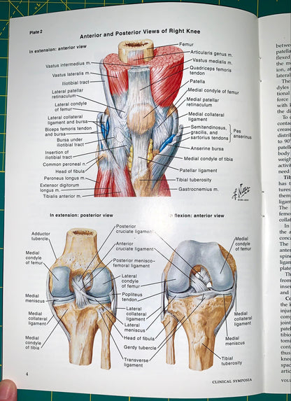 An open anatomy textbook page showing labeled anterior and posterior views of the right knee with muscle and ligament diagrams, photographed on a green cutting mat.
[additional_image_link]