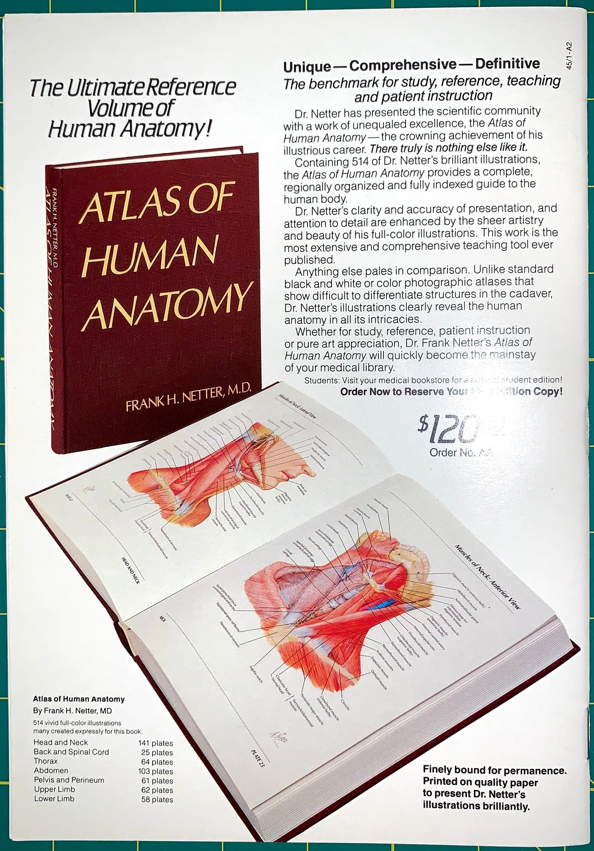 A vintage book cover and sample interior page from the Atlas of Human Anatomy by Frank H. Netter, M.
[additional_image_link]
