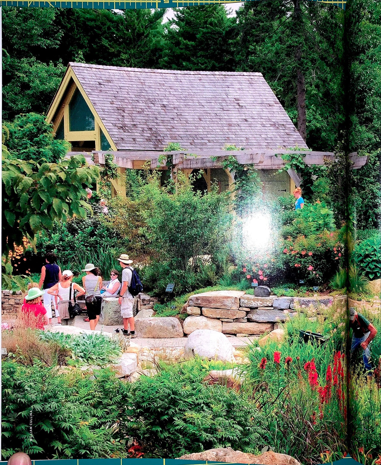 A lush garden scene with a small wooden house, stone pathways, rocks, and several people gathered outdoors among dense greenery and flowers. A bright light flare appears near the center-right.
[additional_image_link]