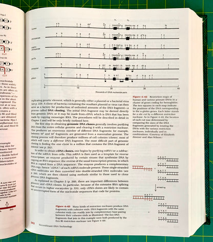 An open book showing printed DNA sequence diagrams and explanatory text on a green cutting mat background.
[additional_image_link]
