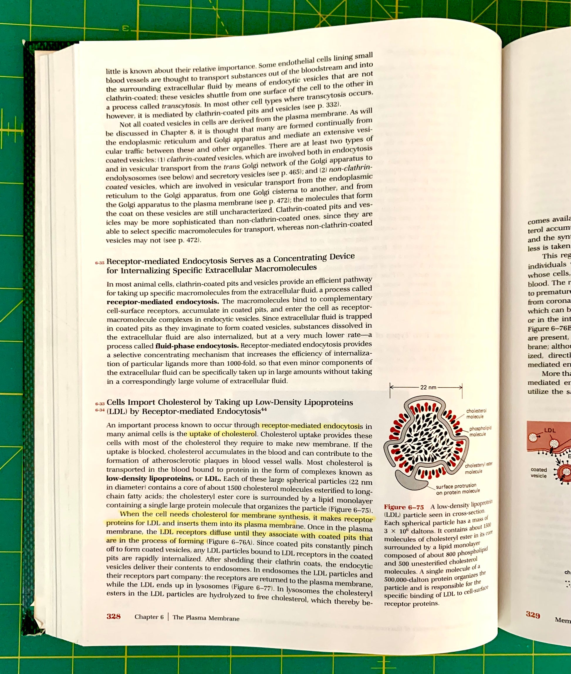 An open book showing printed text and a small circular diagram and highlighted text on a green cutting mat background.
[additional_image_link]