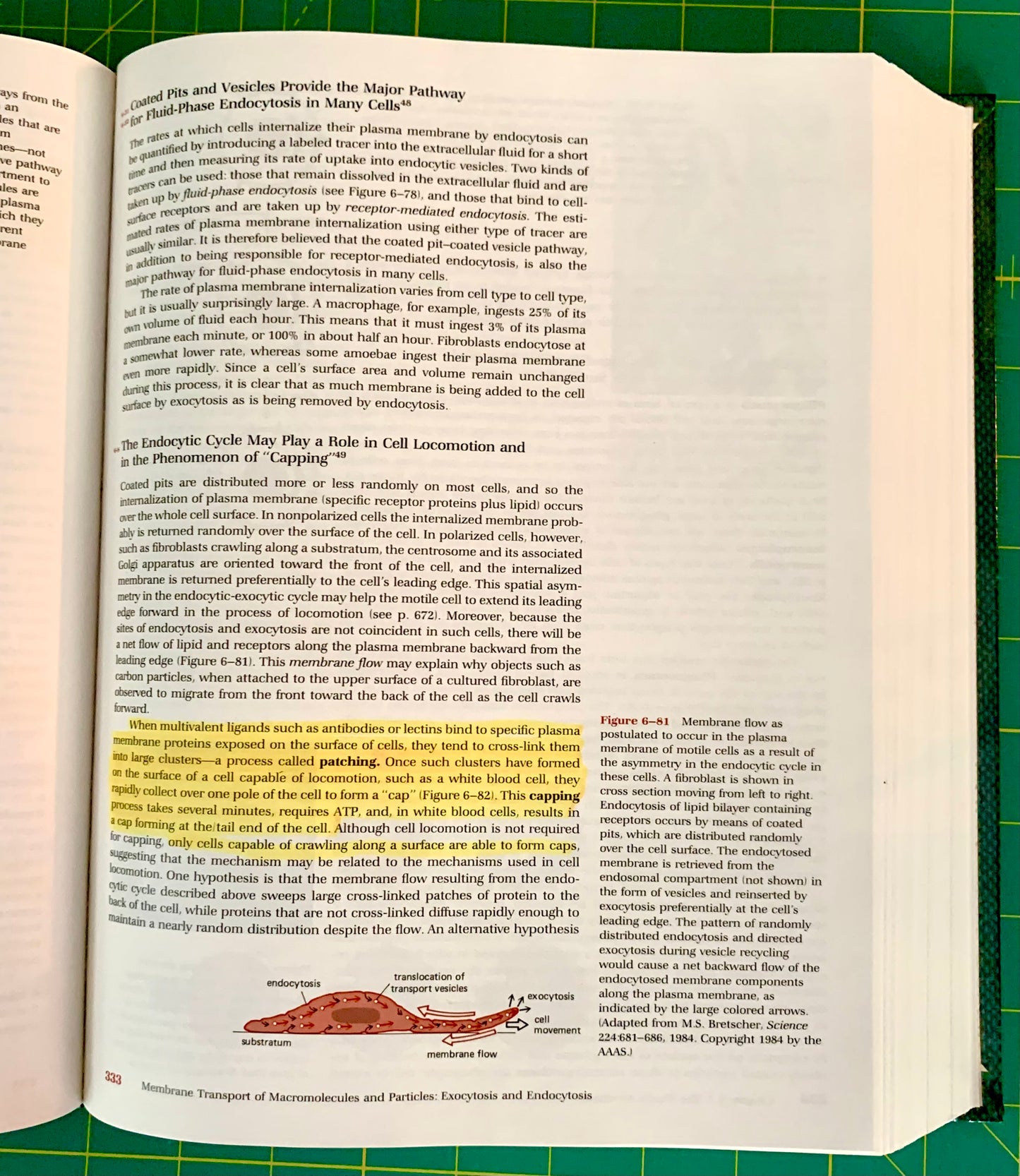 An open textbook spread showing printed text, diagrams, and highlighted sections on cell biology, photographed on a green cutting mat background.
[additional_image_link]